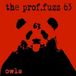 Owls Prof. Fuzz 63 Owls (LP)