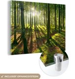 MuchoWow® Glass Painting 160x120 cm - Acrylic Glass Painting - Thin Trees in a Forest in Jasmund National Park - Photo on Glass - Paintings