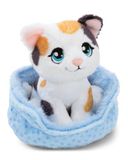 NICI Knuffel Gelukskat Driekleurig in Mandje, 12 cm