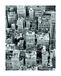Komar Roof Top Poster Wandafbeeldingen Woonkamer Slaapkamer | zonder lijst | P125-40x50cm | 40x50cm (breedte x hoogte)