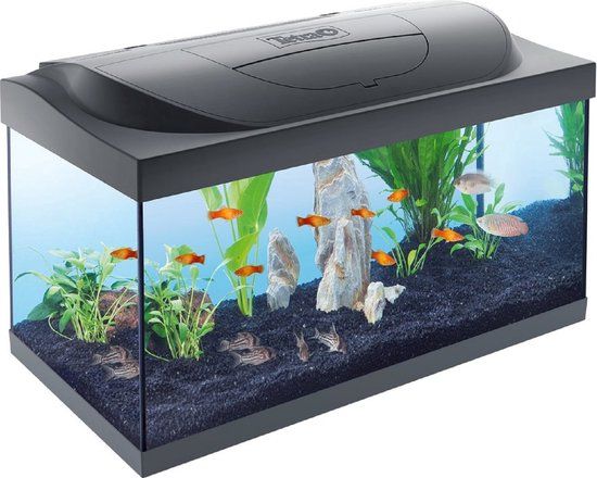 Tetra Starter Line Aquarium - Zwart Led - 54 Liter - Incl. Filter en Verwarming