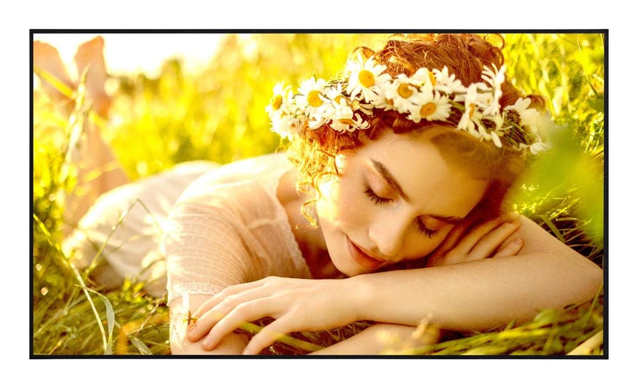 LG 50UL5Q-E 50 inch 4K UHD LED Digital Signage Display