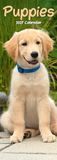 Puppies Avonside Publishing Puppies Slim