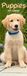 Puppies Avonside Publishing Puppies Slim