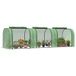 Mini-serre de jardin 295 x 100 x 80 cm pour la culture des plantes, type tunnel, structure en acier et plastique, verte