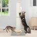 Poteau griffoir réglable pour chat - Conception 2-en-1 avec jouets interactifs (90 cm et 50 cm)