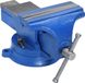 vidaXL Bankschroef 150 mm gietijzer blauw