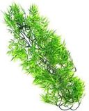 Zoo Med Naturalistic Flora - Madagascar Bamboo - Large - plante pour terrarium