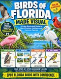 Birds of Florida Made Visual: A Color-Illustrated Guide to Identification, Habitats, and Common Species