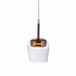 Q-Smart-Home Paul Neuhaus Q-KON hanglamp Glas, LED 2700-5000K, Dimbaar, Zwart