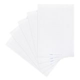 Landré Flipchart papier, geruit, 20 vellen per blok, 6 gaten, 5 stuks
