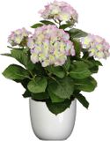 Mica Decorations Hortensia kunstplant/kunstbloemen 45 cm - paars/groen - in pot wit glans - Kunst kamerplant