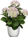 Mica Decorations Hortensia kunstplant/kunstbloemen 45 cm - paars/groen - in pot wit glans - Kunst kamerplant