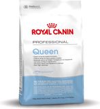 Royal Canin Queen - Kattenvoer - 10 kg