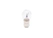 BOSCH Glühlampe 1987301015