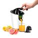 AVILIA Elektrische citruspers met hendel 650 W