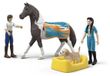SCHLEICH Figuurspeelset voltige Kim 42799 - Horse Club collectie