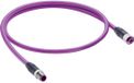 Belden 11016-1 Sensor/actuator dataconnector, geassembleerd M12 Aantal polen (sensoren): 5 Stekker, recht, Bus, recht 1 m