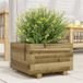 Maison Exclusive - Jardinière 40x40x26,5 cm, en pin imprégné