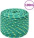 vidaXL Boottouw 14 mm 100 m polypropyleen groen