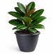 Mega Collections Plantenpot / bloempot Essence Lima - kunststof - antraciet - binnen/buiten - D40 x H32 cm