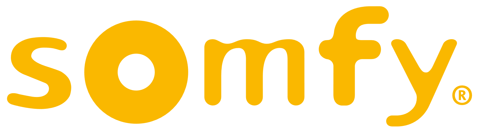 Somfy Torantrieb Schlüsseltaster IP54 2400597