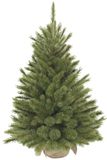 Triumph Tree Forest Frosted Kunstkerstboom H90 x D62 cm - Kunstboom in Jute Zak - Kunst Kerstboom voor Binnen - 106 Tips - Groen