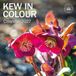 CAROUSEL CALENDARS Botanische tuinen, Kew In Kleur Kalender 2027