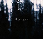 V2 Border Blossom