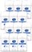 Sanex Deodorant Stick Maximum Protection 96H - 12 stuks