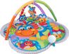 Playgro Clip Clop Musical Activity Gym