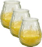 Arte r Geurkaars Citronella - 4 stuks - in windlicht - glas - 10 cm - Citrusgeur