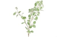 Merkloos Countryfield Kunstblad Eucalyptus groen