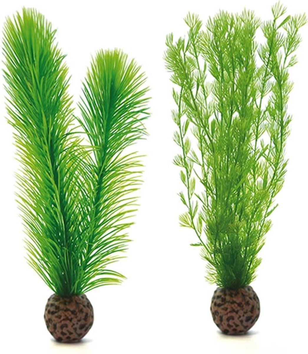 biOrb Mannetjesvaren Set Groen - Klein