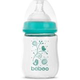 Baboo [Brand] Anti-colic Glass Feeding Bottle