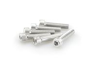 PUIG 0500P schroeven van geanodiseerd aluminium, zilver