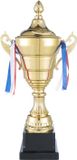 Goods+Gadgets Gouden beker met deksel - Grote trofee (36x17 cm) - Graveerbaar voor sport, toernooien en evenementen - Verfijnde winnaarsbeker voor bijzondere prestaties
