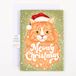 Joker Greeting Eindeloze Meowy Christmas With Glitter - Loops een miauwig kerstlied meer dan 3 uur!