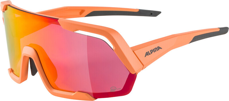Alpina Rocket Q-Lite Glasses