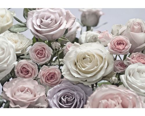 KOMAR Behang Floraison fotobehang - 4036834087364