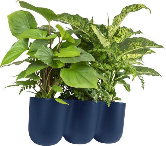 QUVIO Bloempot voor aan de wand - 15 x 43,5 cm - Donkerblauw