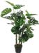 Mica Decorations Kunstplant Monstera in Pot Rubber Groen - 100 x ¯75 cm