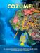 Au Cozumel: Un voyage photographique sous-marin dans la péninsule du Yucatán, au Mexique