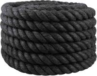 vidaXL Jute Touw 300 mm 10 m Zwart