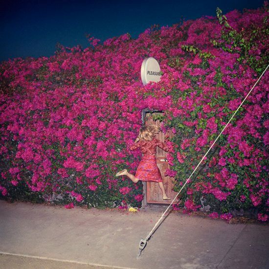 Feist Pleasure (Limited Edition) CD