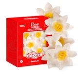 dekora Eetbare taartbloemen, margriet, 10 stuks waferbloemen Ø 7 cm, suiker-, glutenvrij, lactose-vrij, vegetarisch, decoratie voor taart, verjaardag & bruiloft