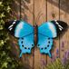 Anna's Collection Coen Bakker Deco B.V. Schutting decoratie vlinders 48 cm blauw/zwart metaal