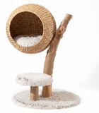 Poteau griffoir pour chat - Modèle branches - 83 cm - Avec panier et peluche