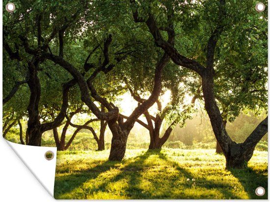 GreatGardenPosters Tuinposter - Natuur - Boom - Bladeren - 160x120 cm - PVC - Landelijk - Winter