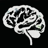 Brain Ruins - Brain Flakes (LP)